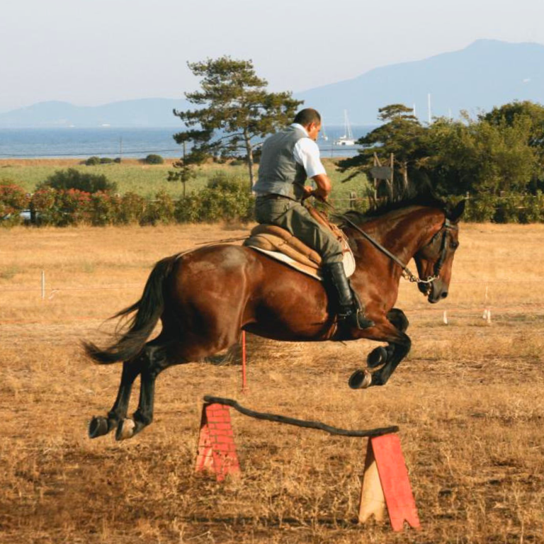 The Butteri della Maremma  show
